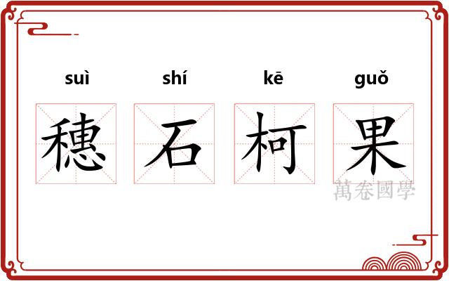 穗石柯果 穗石柯果
