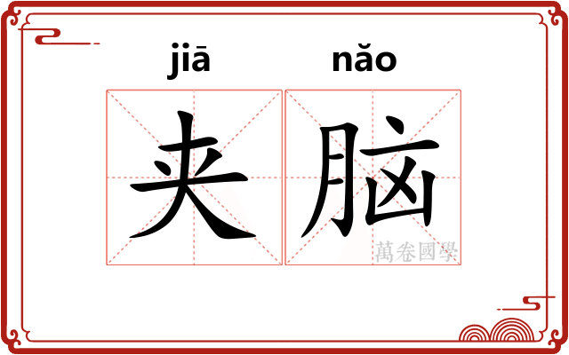 夹脑