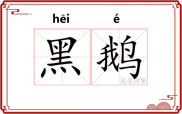 黑鹅