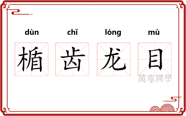 楯齿龙目