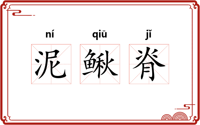 泥鳅脊