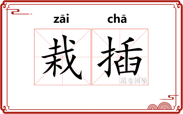 栽插