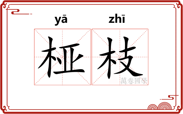 桠枝