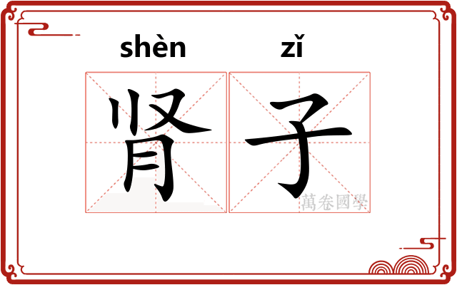 肾子 肾子