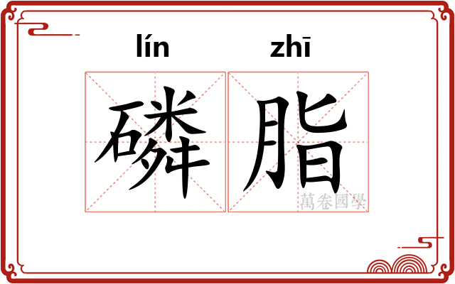 磷脂