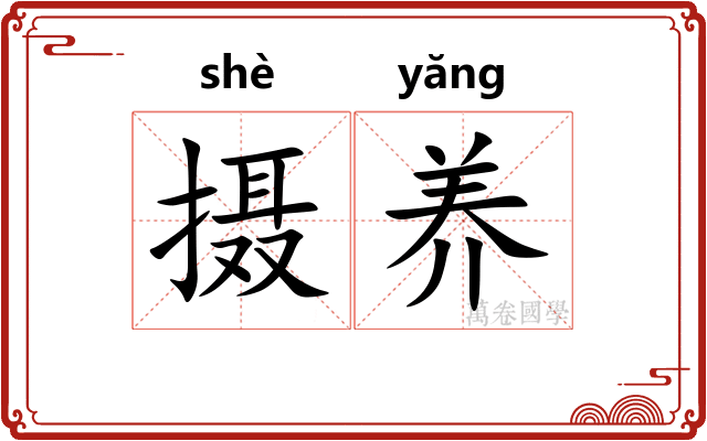摄养