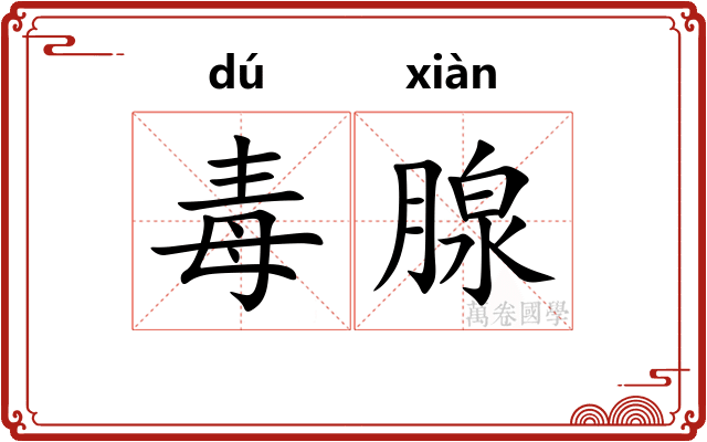 毒腺