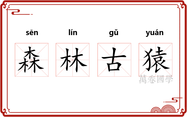 森林古猿