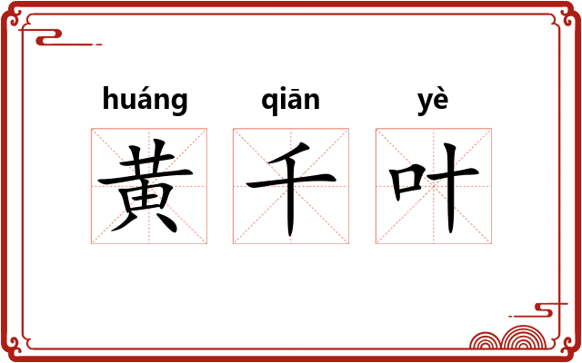 黄千叶