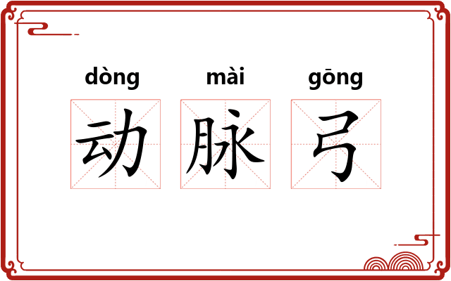 动脉弓