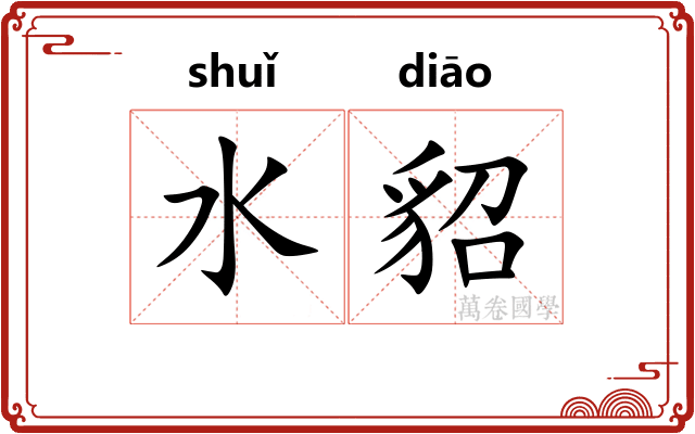 水貂