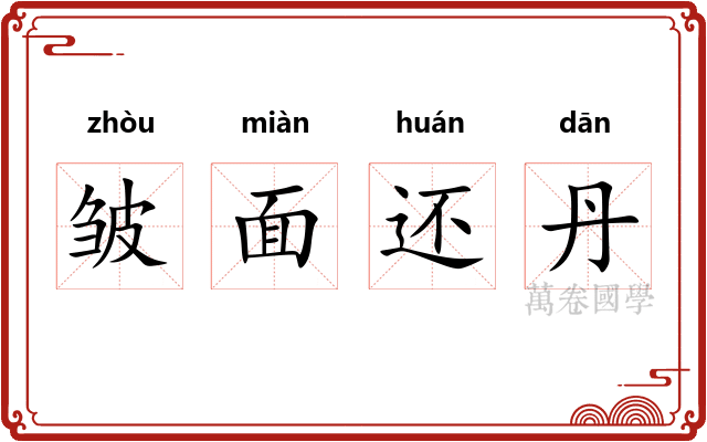 皱面还丹