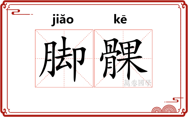 脚髁
