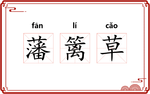 藩篱草