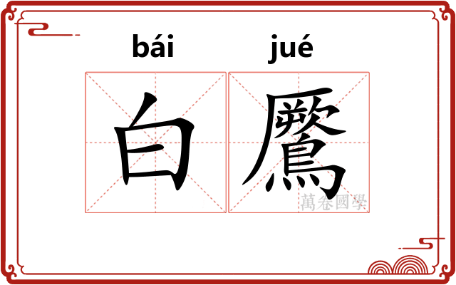 白鷢