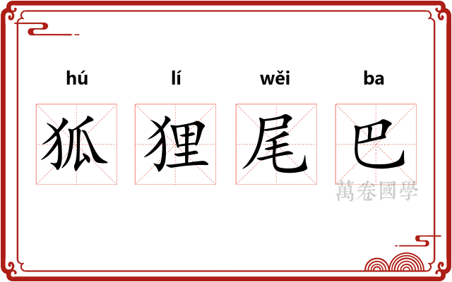 狐狸尾巴