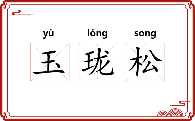 玉珑松