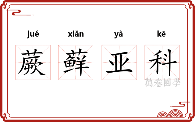 蕨藓亚科