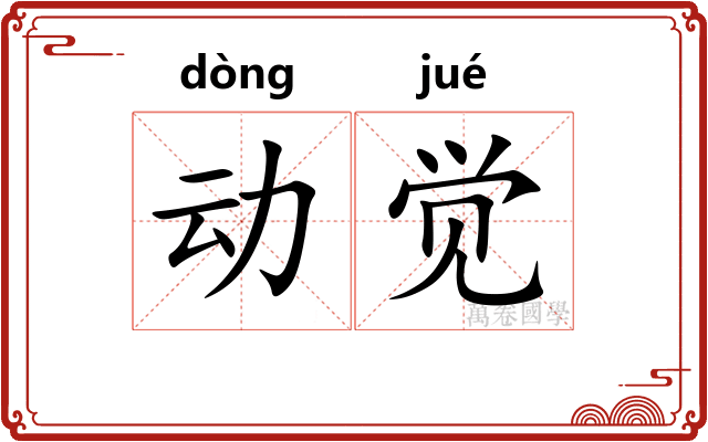 动觉 动觉