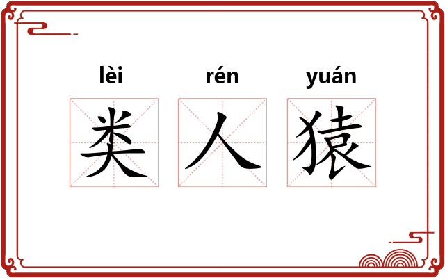 类人猿