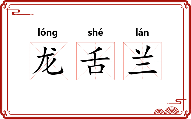 龙舌兰
