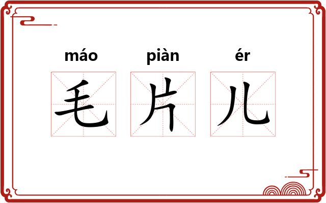毛片儿