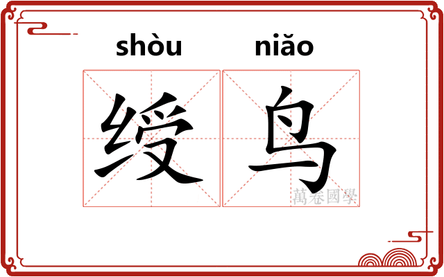绶鸟
