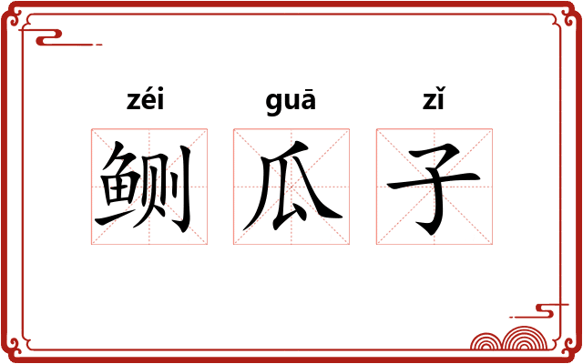 鲗瓜子