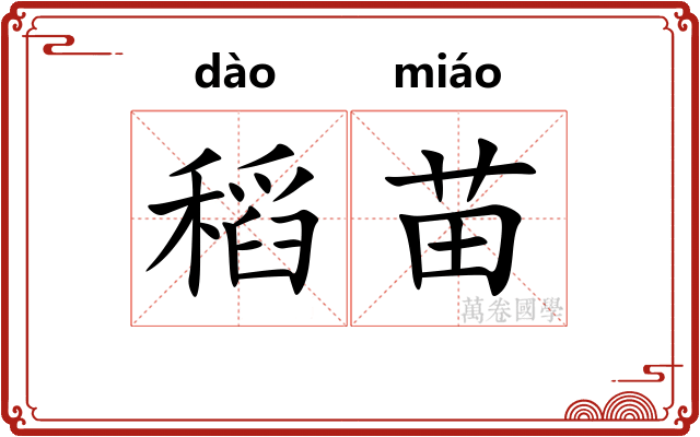 稻苗