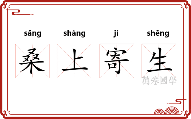 桑上寄生 桑上寄生