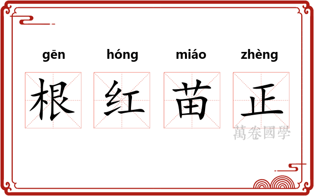 根红苗正