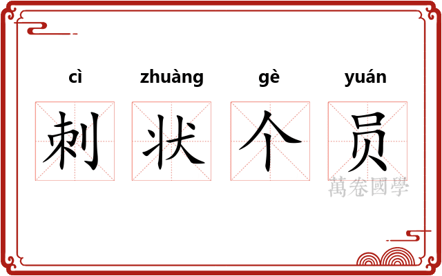 刺状个员