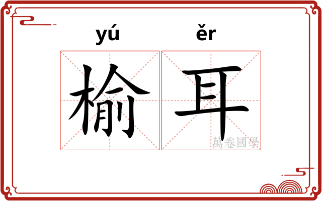 榆耳 榆耳