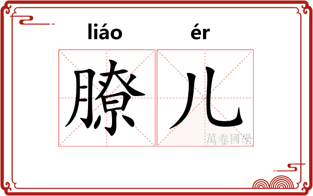 膫儿