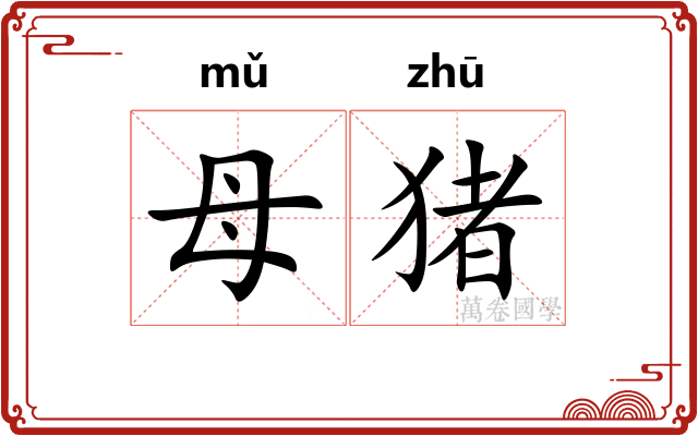 母猪