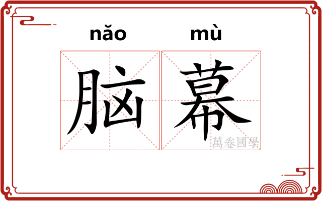 脑幕