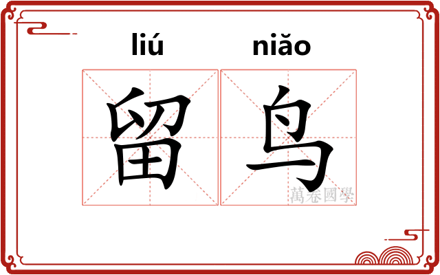 留鸟