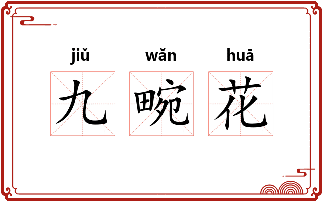 九畹花