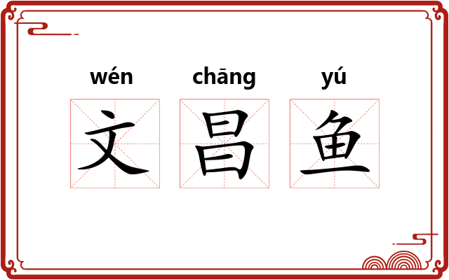 文昌鱼 文昌鱼