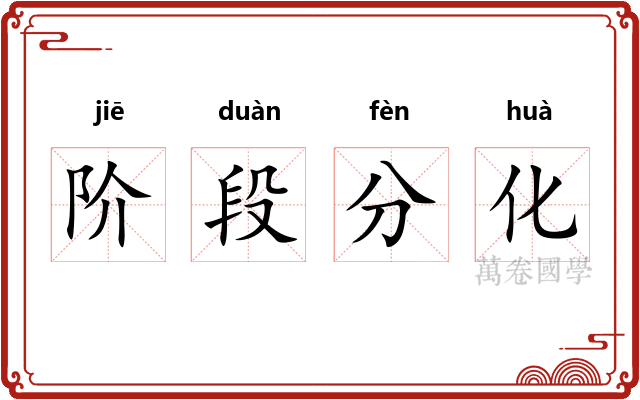 阶段分化
