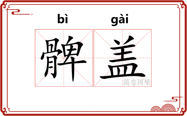 髀盖 髀盖