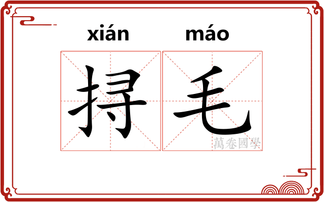 挦毛
