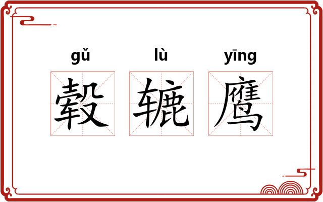毂辘鹰