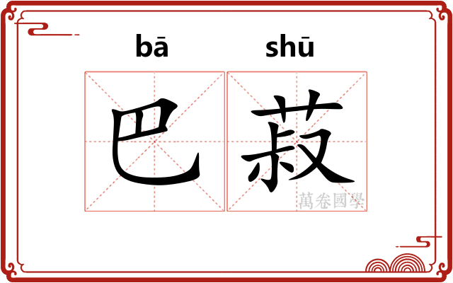 巴菽