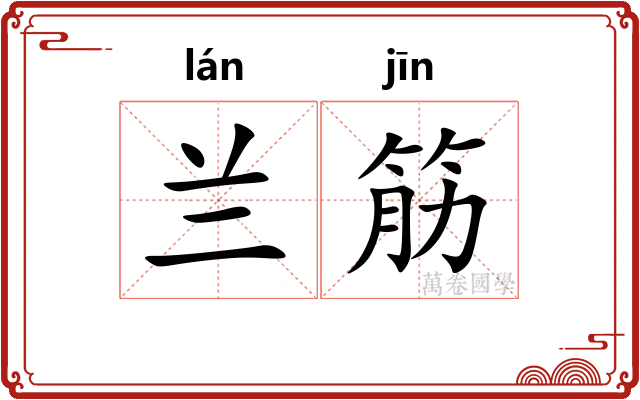 兰筋