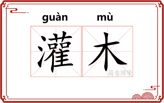灌木