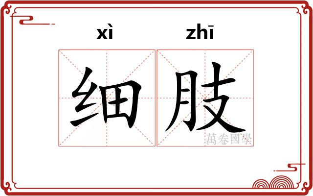 细肢