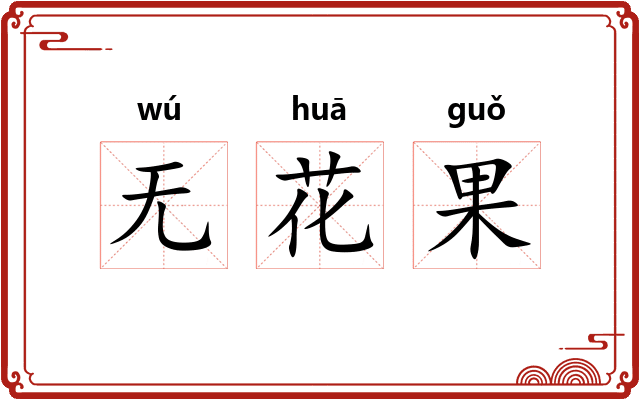无花果 无花果