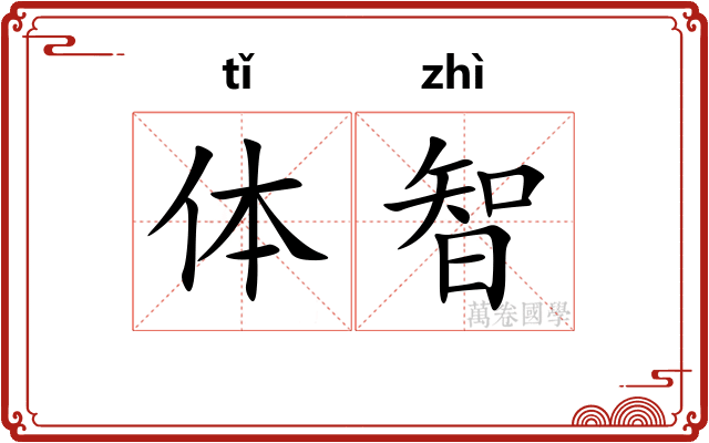 体智