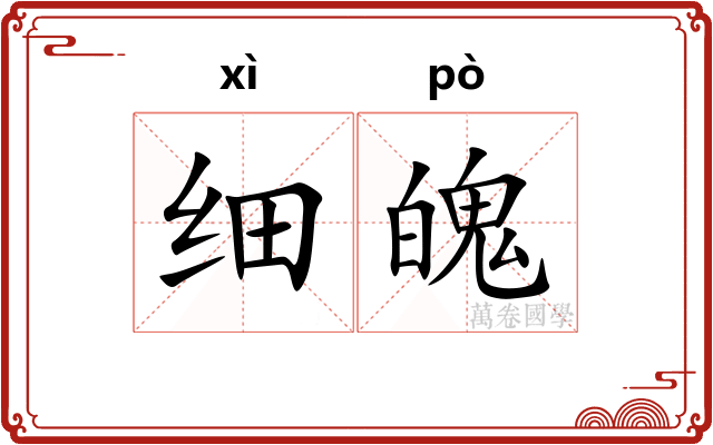 细魄